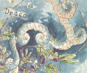 Hiyu Draco
