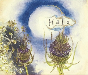 Hiyu Halo “Spring Ephemeral”