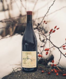 Smockshop Band Columbia Valley Red
