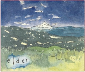 Tzum Elder