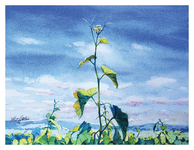 Savagnin